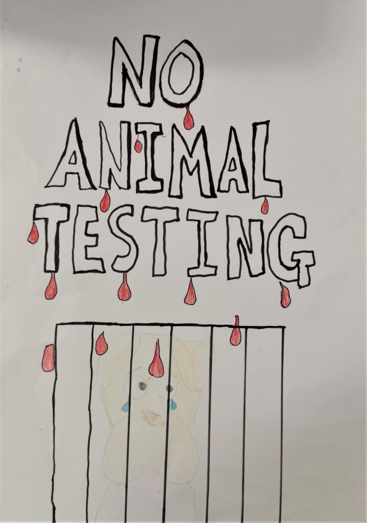 Poster created with felt pen and coloured pencil. Image: At the top, block capital letters dripping blood spell out NO ANIMAL TESTING. Below that is an image of a caged dog with tears running down its face.